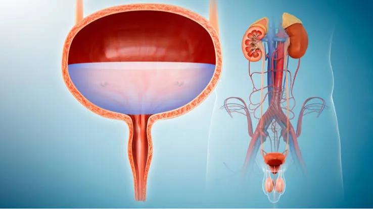 Urologist in Bangalore and Nephrology Do