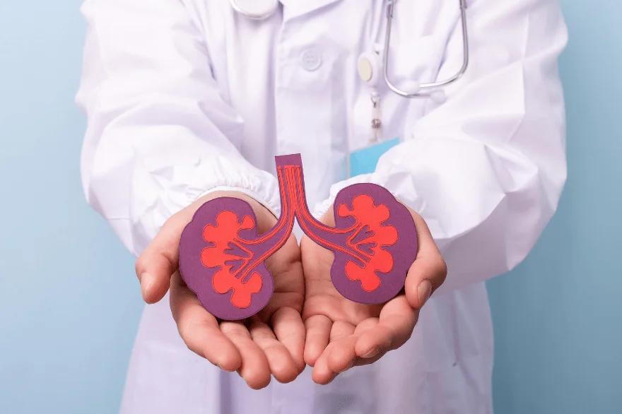 Urologist in Bangalore and Nephrology Do