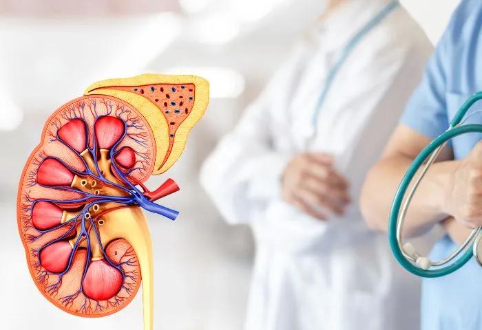 Finding the Right Lung and Kidney Care i